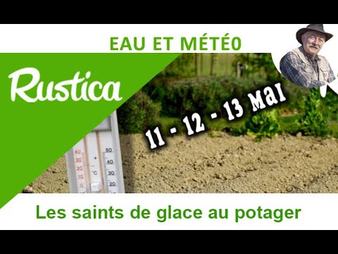 Les Saints de glace au potager