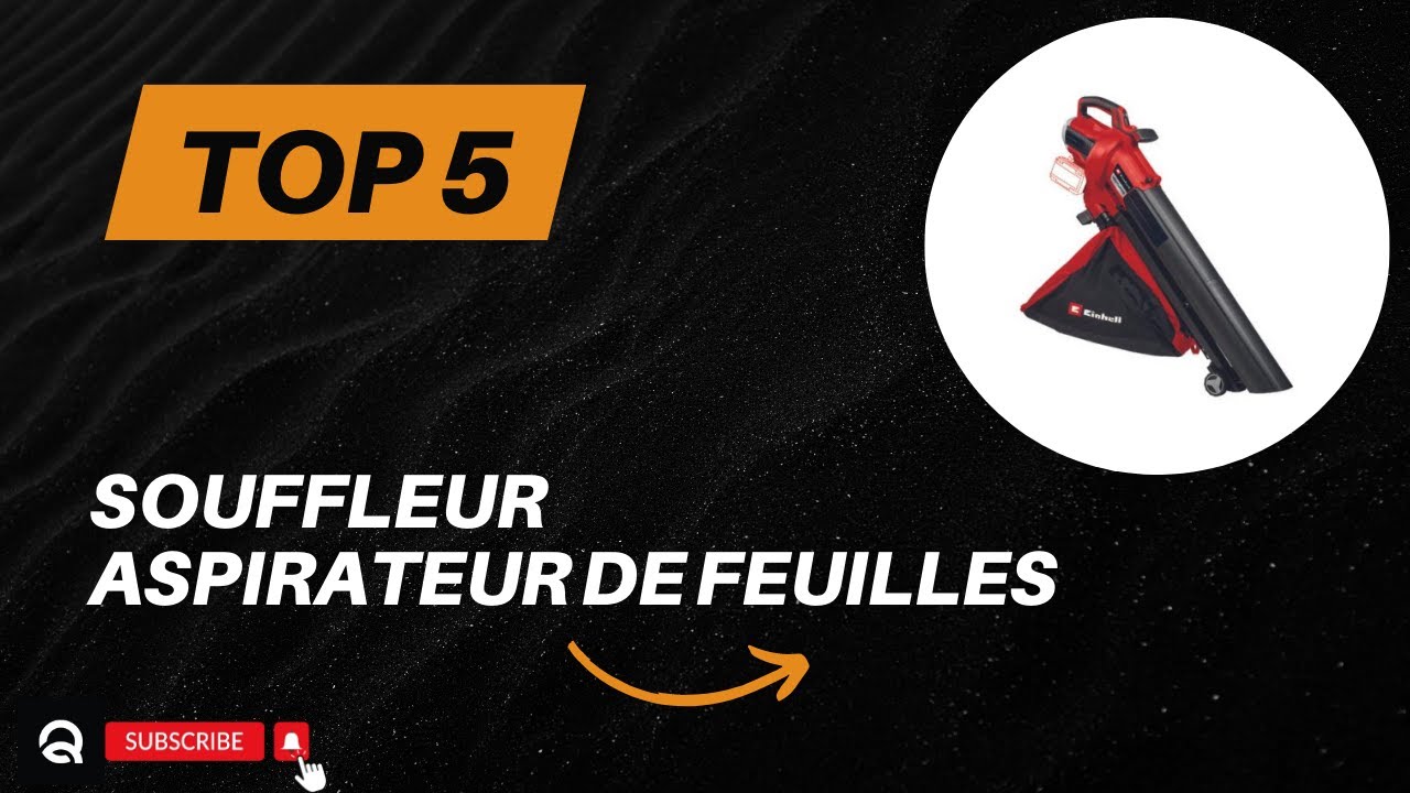 Top 5 Meilleur Souffleur Aspirateur de Feuilles 2026