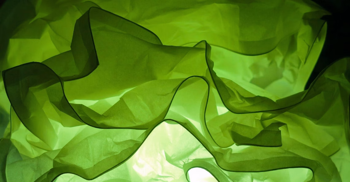 Les couleurs qui ne s&rsquo;harmonisent jamais avec le vert