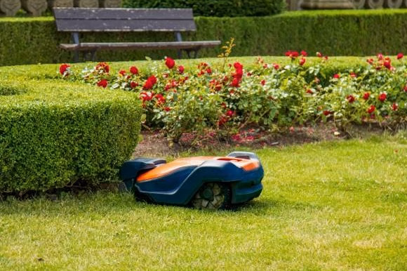 Le meilleur outil de désherbage au jardin en 2026